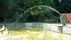 Brunnenfigur &bdquo;Schwan&ldquo; | <a class="print" href="#" onclick="return hs.printImage(this)">Bild drucken</a>